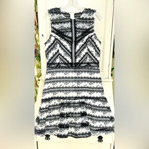 Adelyn Rae lace embroidered fit, and flare dress size large